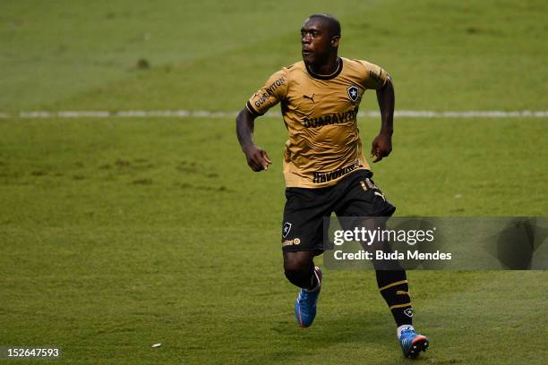 Seedorf of Botafogo celebrates a scored goal during a match between Botafogo and Corinthians as part of the Brazilian Serie A Championship, at...