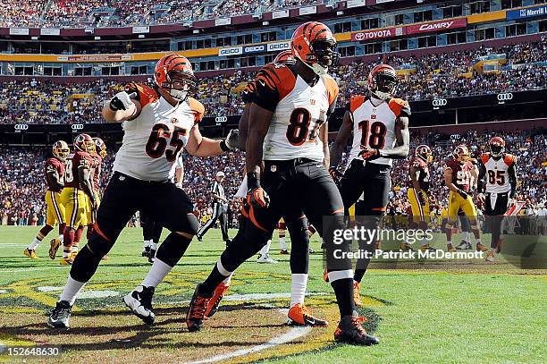 Jermaine Gresham of the Cincinnati Bengals celebrates after scoring a touchdown on a 6-yard pass from Andy Dalton in the second half against the...