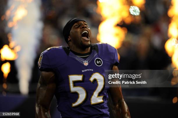 Ray Lewis of the Baltimore Ravens takes the field during player introductions against the New England Patriots at M&T Bank Stadium on September 23,...