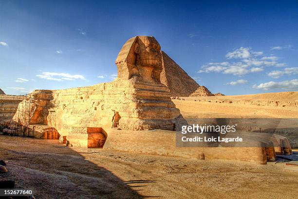 great sphinx of giza - cairo - fotografias e filmes do acervo