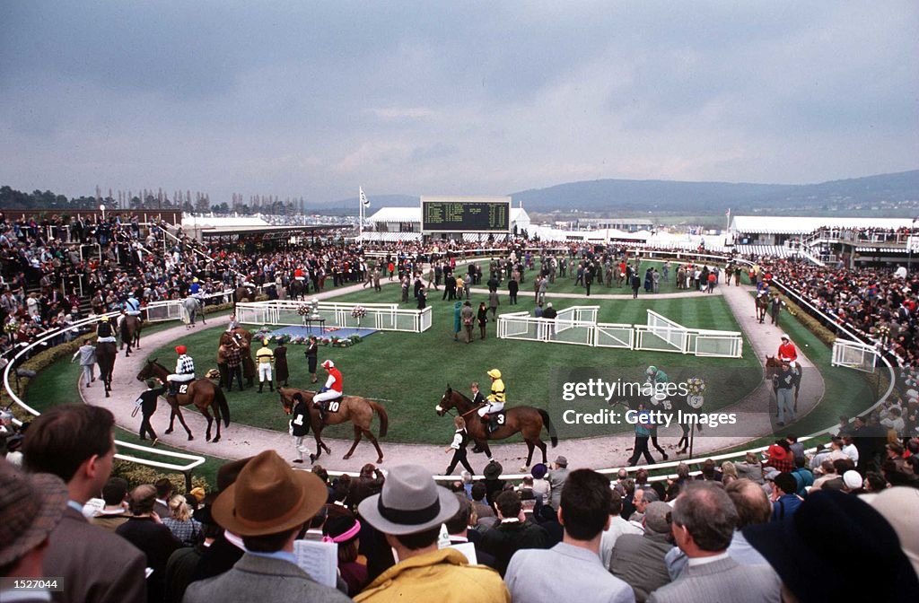 CHELTENHAM FESTIVAL