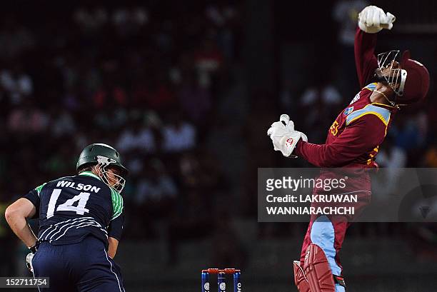 Ireland cricketer Gary Wilson watches as West Indies wicketkeeper Denesh Ramdin takes a catch to dismiss him during the ICC Twenty20 Cricket World...