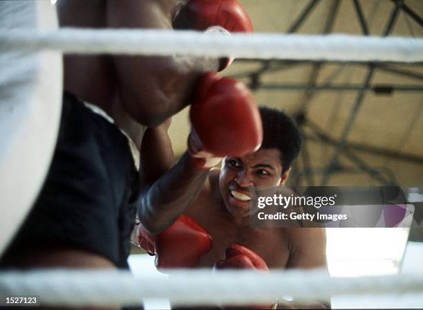 Muhammad Ali in action against Al 'Blue' Lewis during a Heavyweight fight at Croke Park July 19, 1972 in Dublin, Ireland. Mandatory Credit: Don...