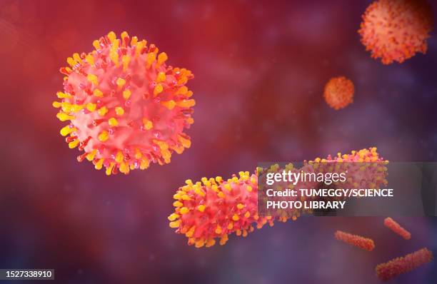 respiratory syncytial virus particles, illustration - glycoprotein stock illustrations