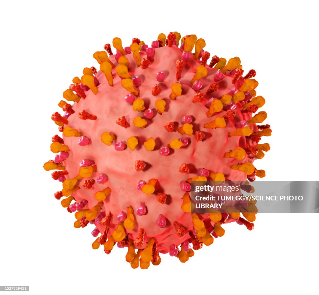 Spherical respiratory syncytial virus, illustration