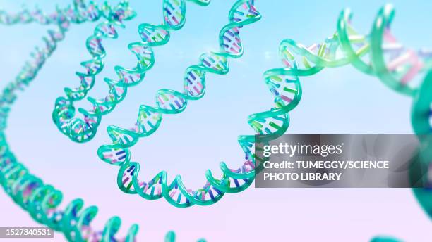 dna molecule, illustration - guanine stock illustrations