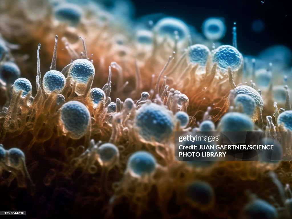 Organic structures, abstract illustration