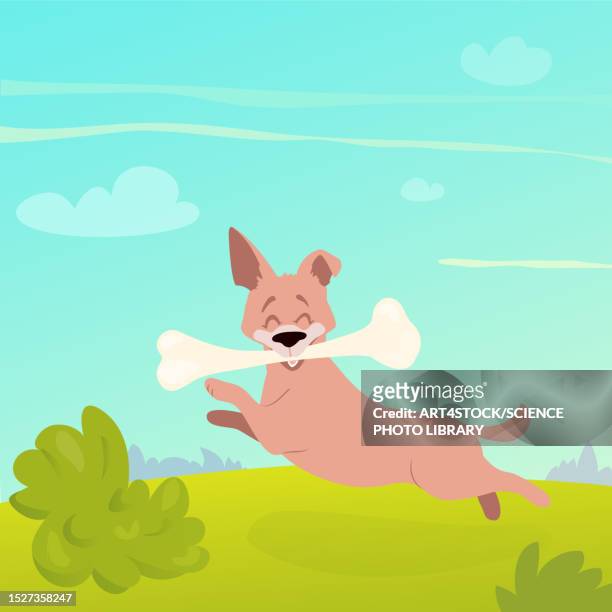 happy jumping dog, illustration - small stock illustrations stock-grafiken, -clipart, -cartoons und -symbole