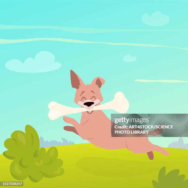 happy jumping dog, illustration - pet clothing stock illustrations