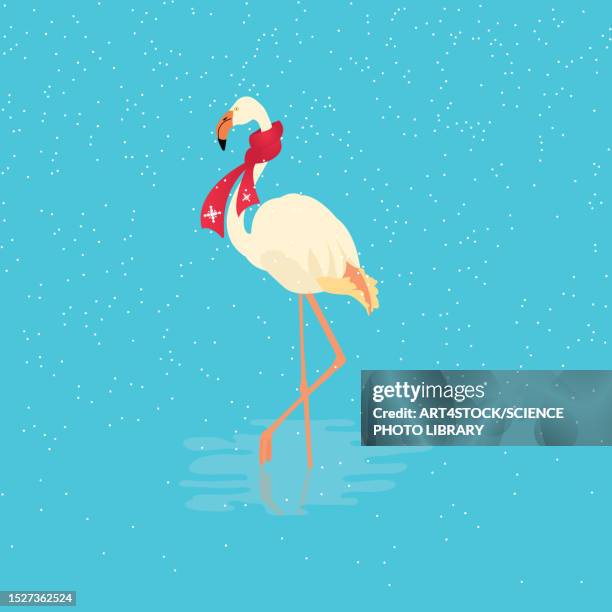 flamingo, illustration - legs apart stock-grafiken, -clipart, -cartoons und -symbole