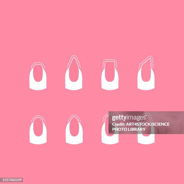 nail shapes, illustration - at the edge of stock illustrations