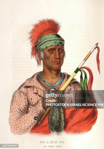 neomonni, loway chief, illustration - first nations stock illustrations