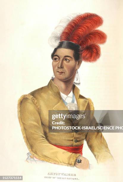 thayendanegea, mohawk chief, illustration - first nations stock illustrations