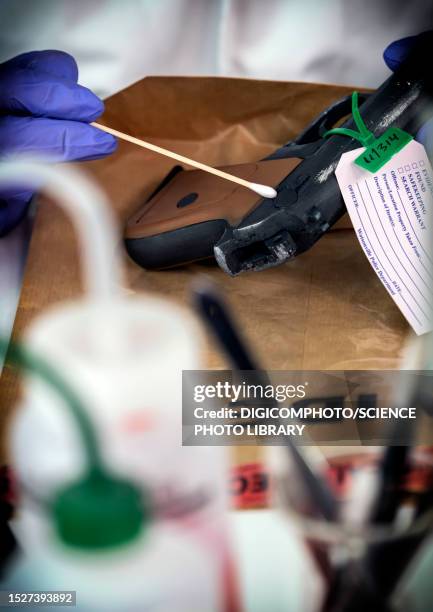 forensic swabbing of handgun - buskruit stockfoto's en -beelden