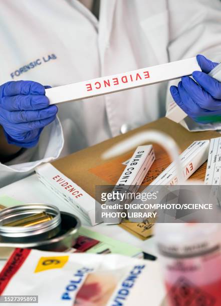 swabs for forensic analysis - forensic science technician stock pictures, royalty-free photos & images