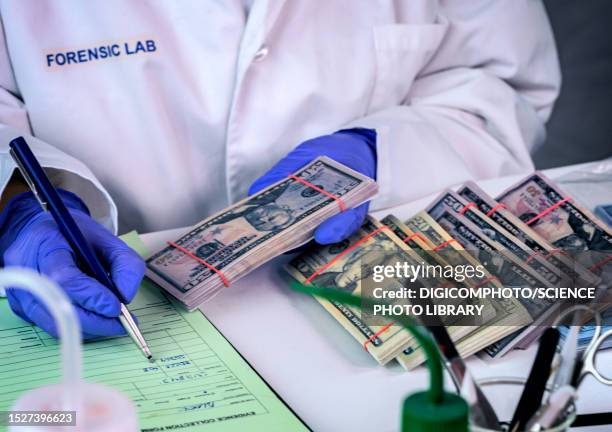 forensic analysis of banknotes - forensic science technician stock pictures, royalty-free photos & images