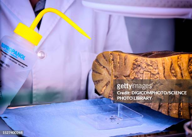 forensic analysis of footwear - forensic science technician stock pictures, royalty-free photos & images