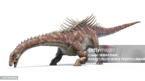 augustinia dinosaur, illustration - fossil stock illustrations