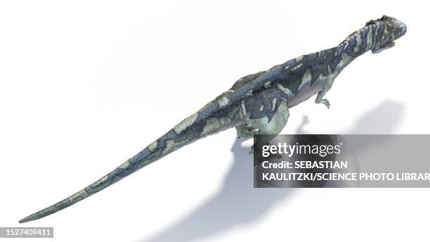 acrocanthosaurus dinosaur, illustration - acrocanthosaurus stock illustrations