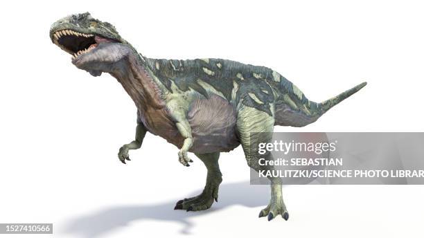 acrocanthosaurus dinosaur, illustration - fossil stock illustrations