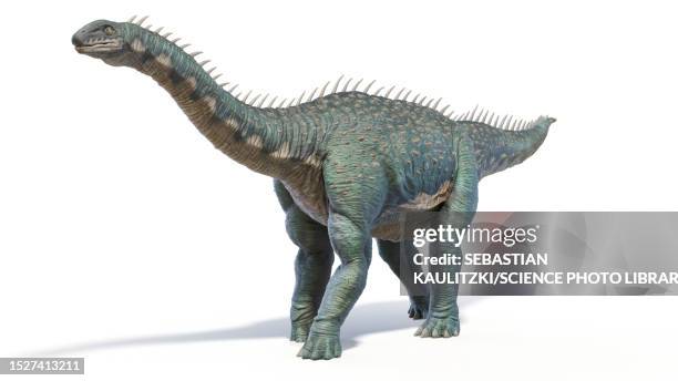 stockillustraties, clipart, cartoons en iconen met barapasaurus dinosaur, illustration - paleozoölogie