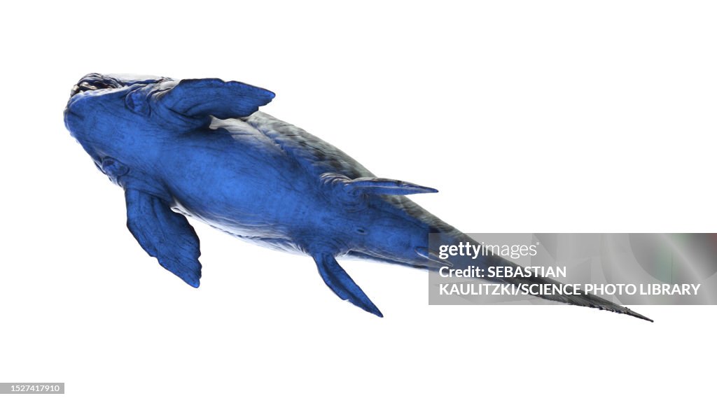 Dunkleosteus prehistoric fish, illustration