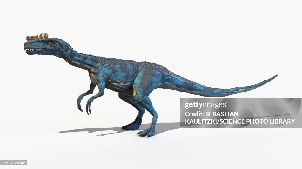 Proceratosaurus dinosaur, illustration