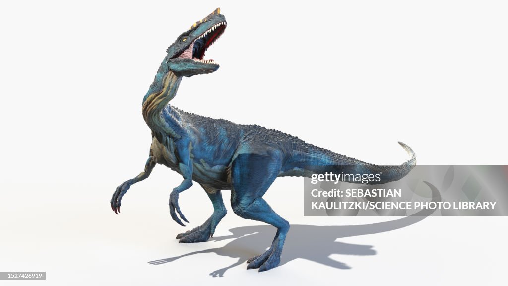 Proceratosaurus dinosaur, illustration