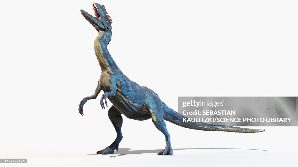Proceratosaurus dinosaur, illustration