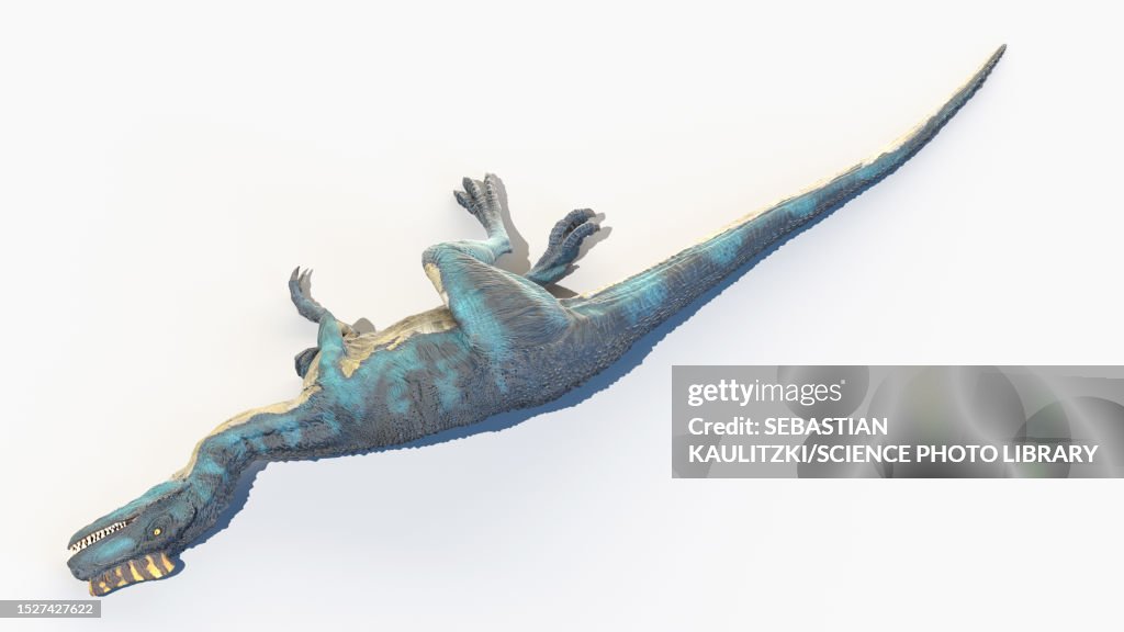 Proceratosaurus dinosaur, illustration
