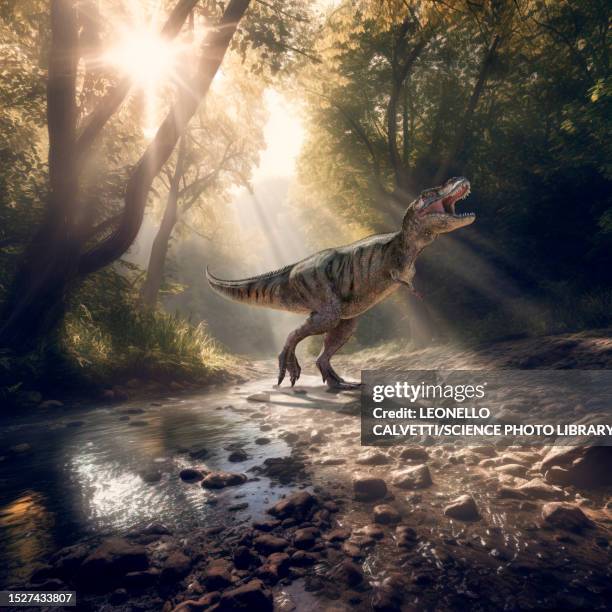 t rex in forest, illustration - tyrannosaurus rex stock illustrations