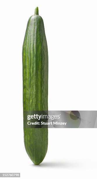 cucumber upright on white background - cucumber stockfoto's en -beelden