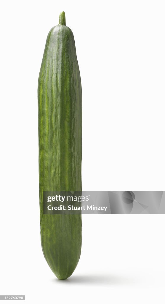 Cucumber upright on white background