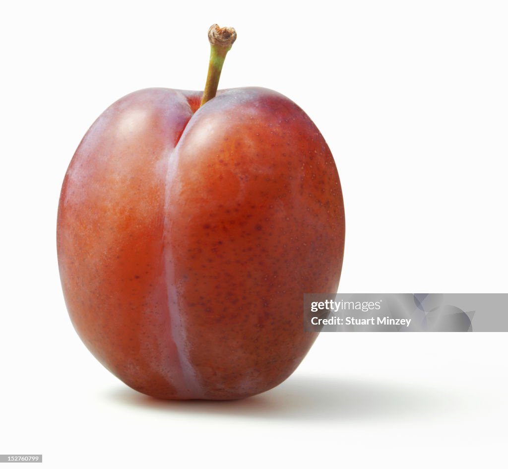 Plum on white background