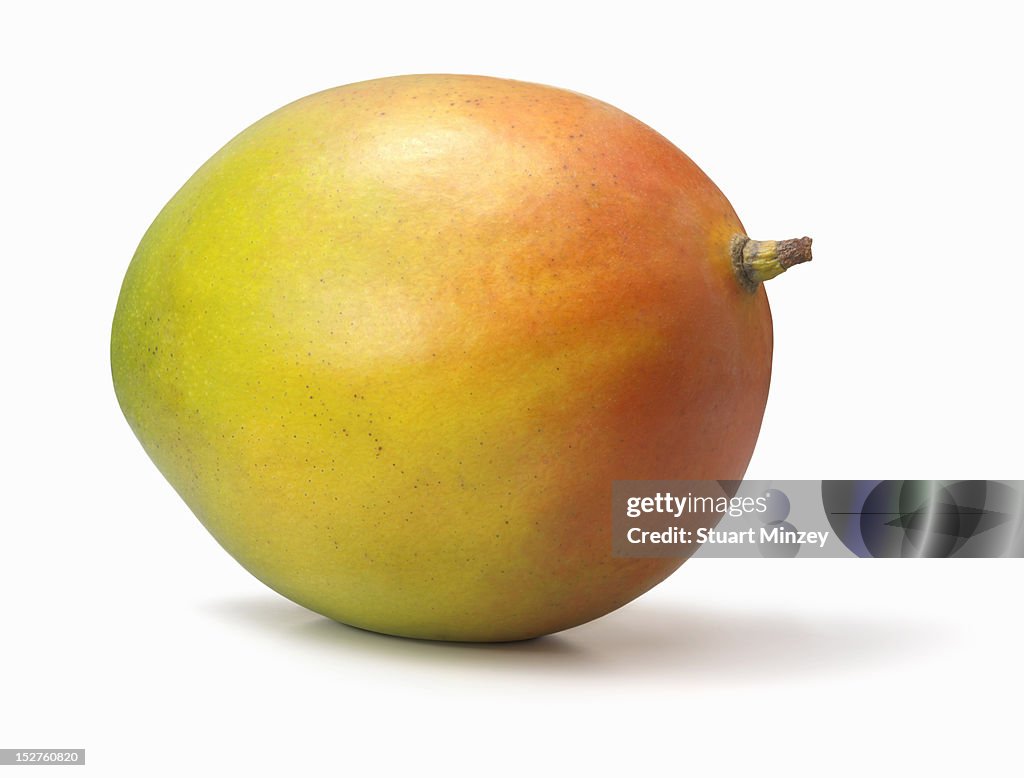 Mango on white background