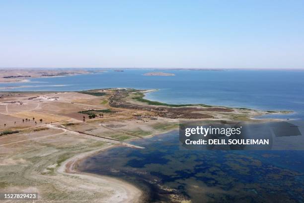 This aerial picture shows agricultural land on the banks of the Euphrates river in low water levels near the village of Tawayhinah in Syria's...