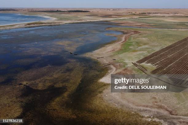 This aerial picture shows agricultural land on the banks of the Euphrates river in low water levels near the village of Tawayhinah in Syria's...