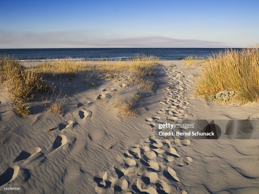 Footsteps in dunes