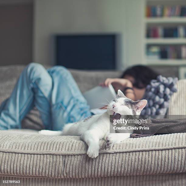 yawning cat with boy on couch - one teenage boy only stock pictures, royalty-free photos & images