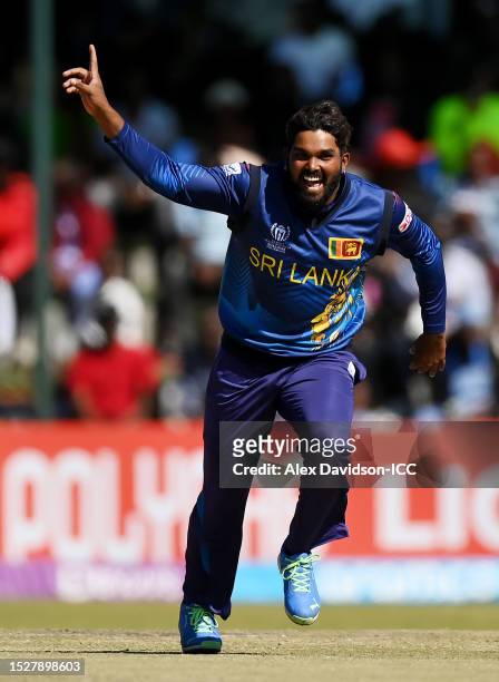 Wanindu Hasaranga of Sri Lanka celebrates after dismissing Teja Nidamanuru of Netherlands during the ICC Men´s Cricket World Cup Qualifier Zimbabwe...