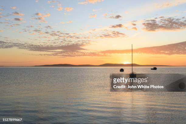 boats at dawn. port lincoln. eyre peninsula. south australia. - port lincoln stock-fotos und bilder