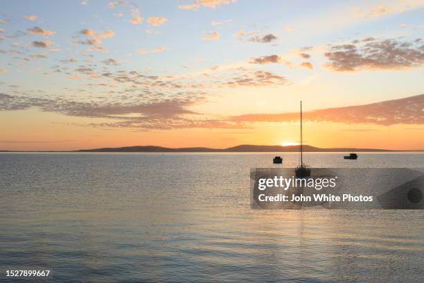 boats at dawn. port lincoln. eyre peninsula. south australia. - porto lincoln - fotografias e filmes do acervo