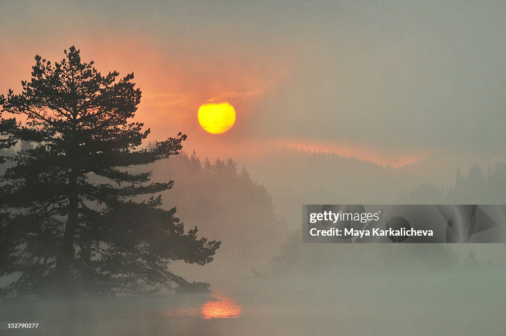 Sunrise at misty lake