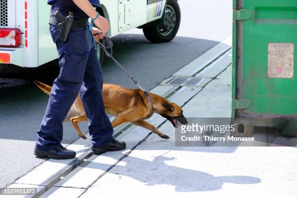 Emma', a Belgian Malinois sniffer dog checks a container for drugs on July 11, 2023 in the Port of Antwerp, Kallo, Beveeren, Belgium. Drugs, in...