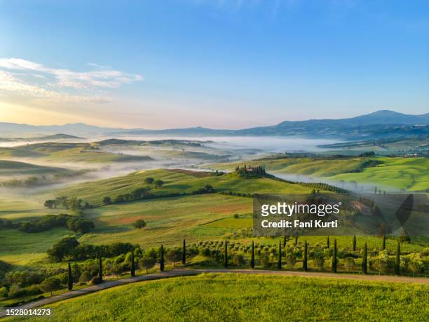 tuscan landscape pienza, val d'orcia from drone - olive tree farm stock pictures, royalty-free photos & images