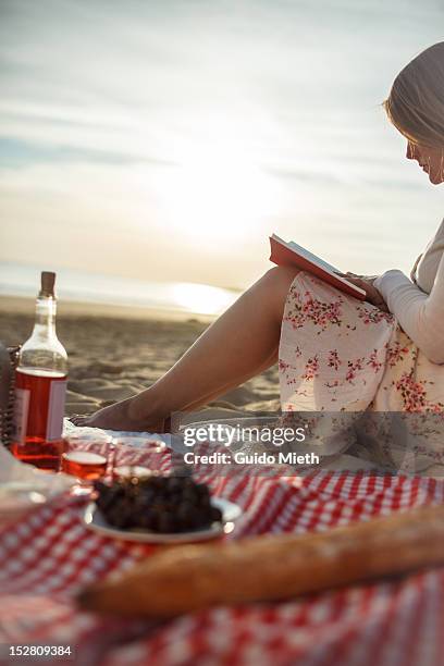 woman reading on beach - picnic blanket stock pictures, royalty-free photos & images