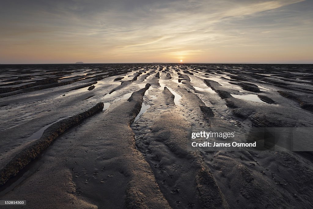 Barren Landscape
