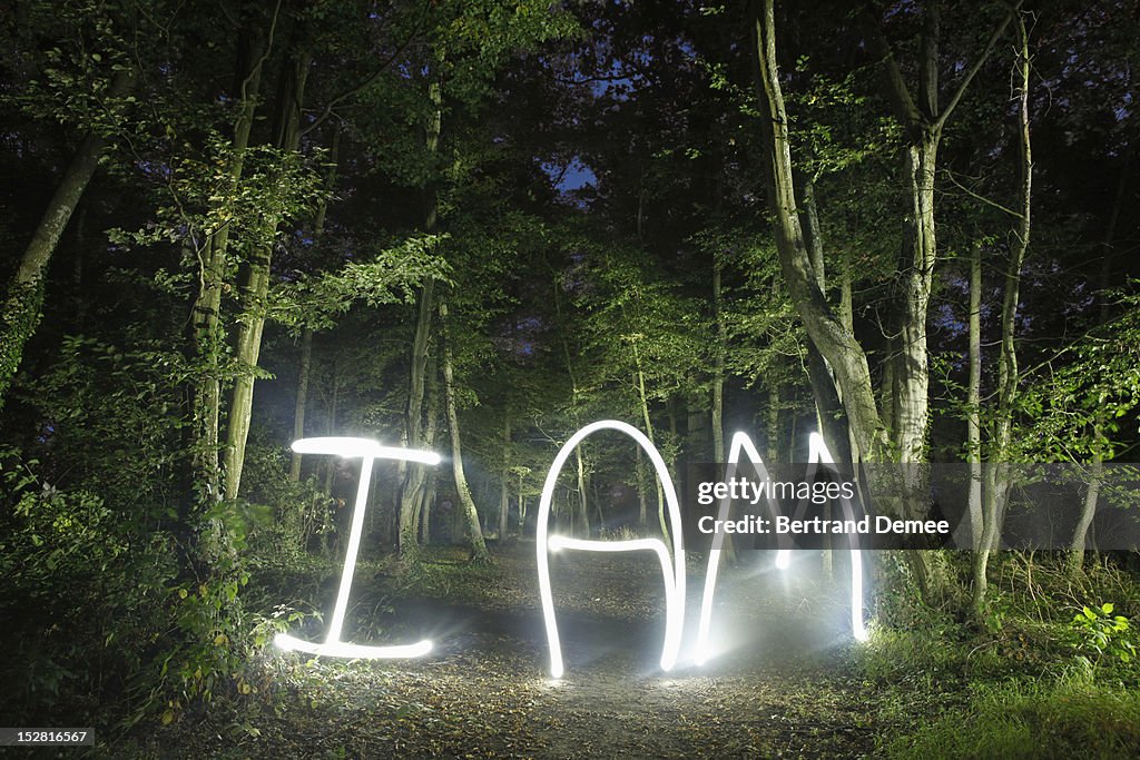 'I am' written in light in a forest