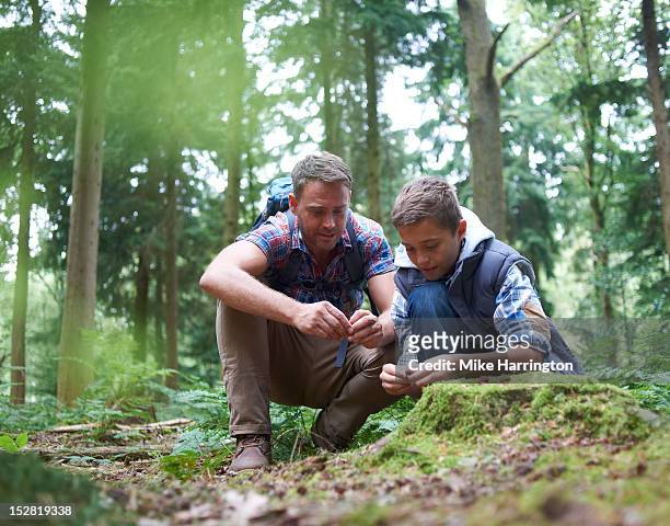 father and son observing nature in forest location - kids hiking stock pictures, royalty-free photos & images
