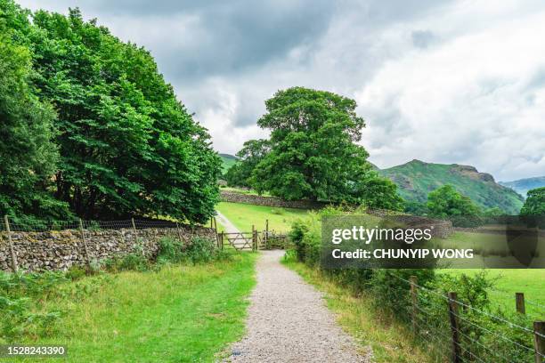 idyllic rural in lake district, england - surrounding wall stock pictures, royalty-free photos & images